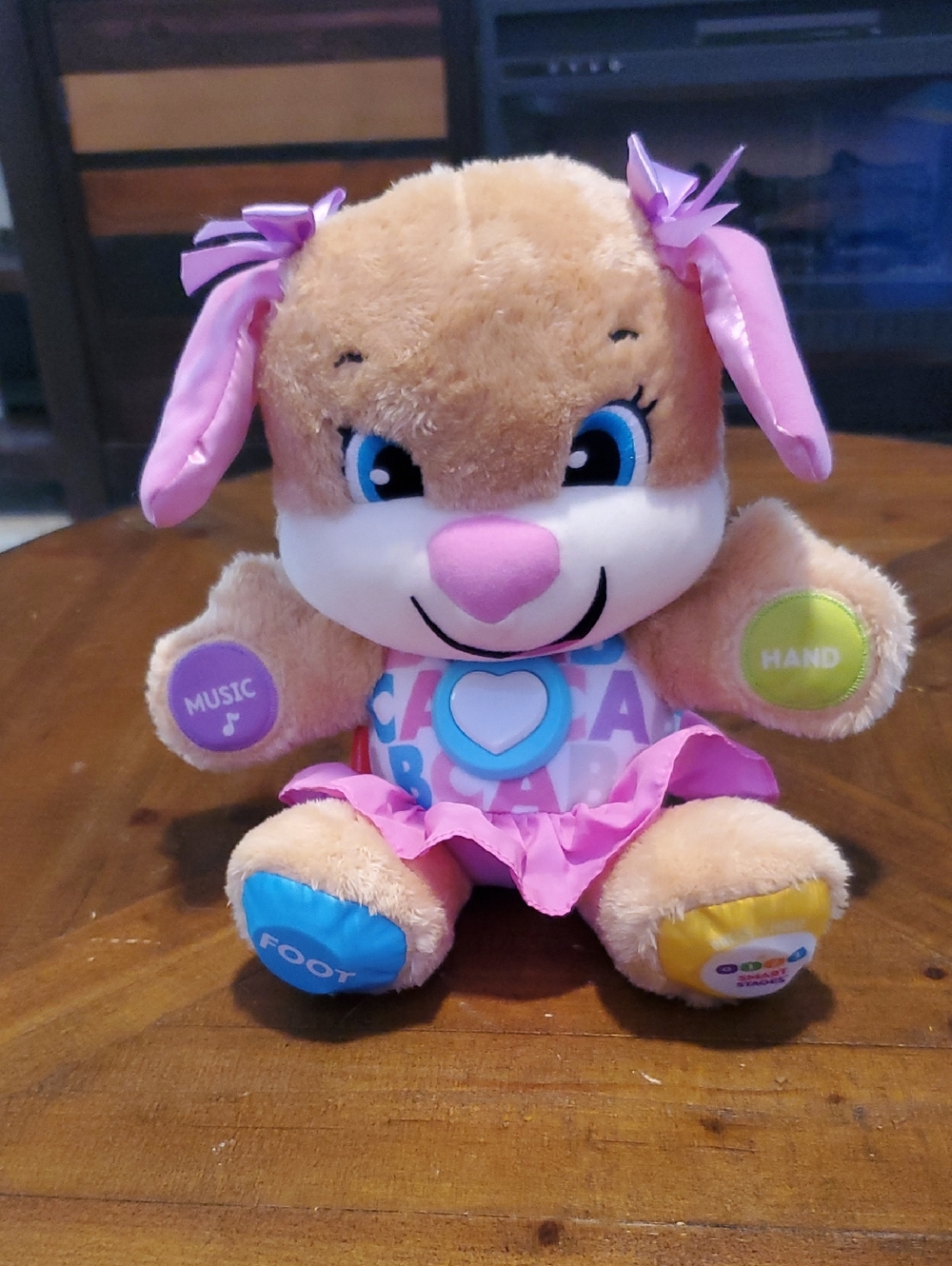 Fisher-Price Pink, Blue and Yellow Plush Interactive Puppy